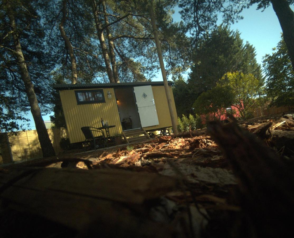 Forest Heath Shepherd'S Huts Ringwood Exterior foto